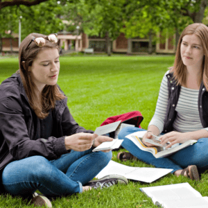 students studying with flashcards on lawn