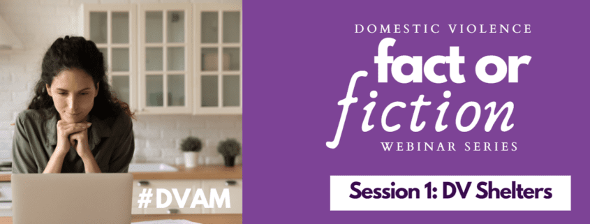 domestic fact or fiction series one about dv shelters