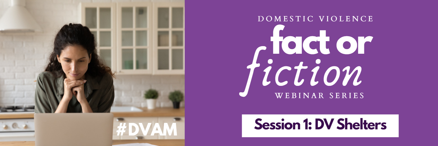 domestic fact or fiction series one about dv shelters