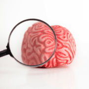 magnifying glass over brain