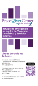 Refugio de Emergencia en contra de Violencia Doméstica y Servicios Externos